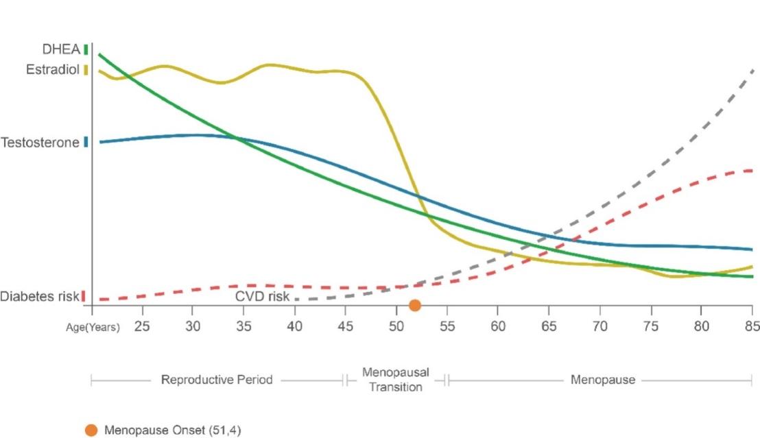 Menopausia y riesgo cardiovascular width=