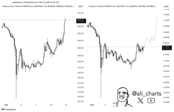 En reflétant la tendance de BNB, Cardano Eyes récupérant le seuil psychologique de 1 ⋆ Zycrypto - La Crypto Monnaie