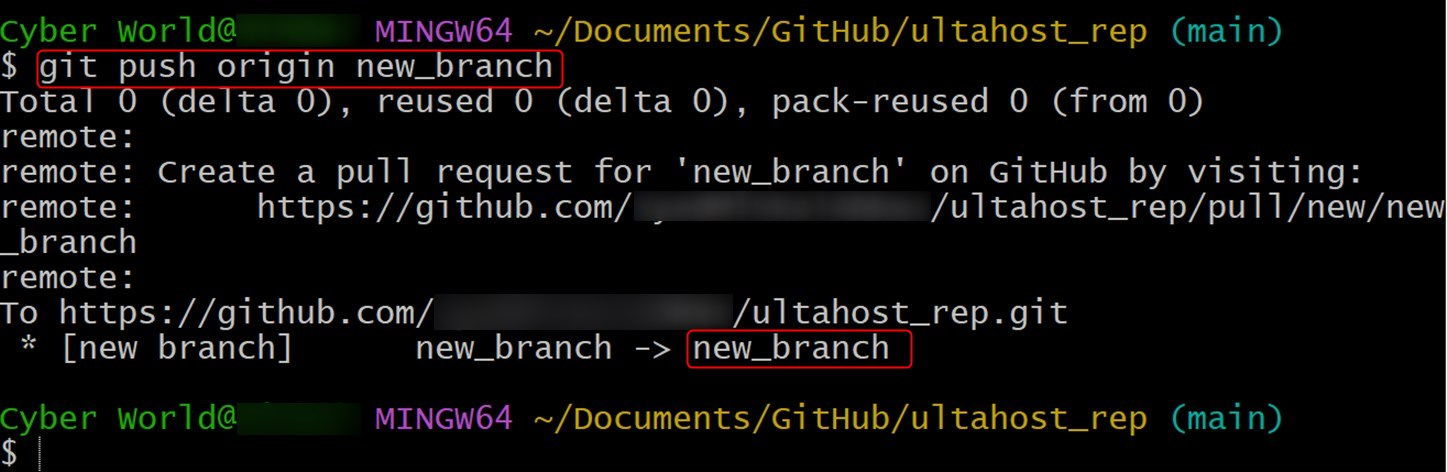 push renamed branch