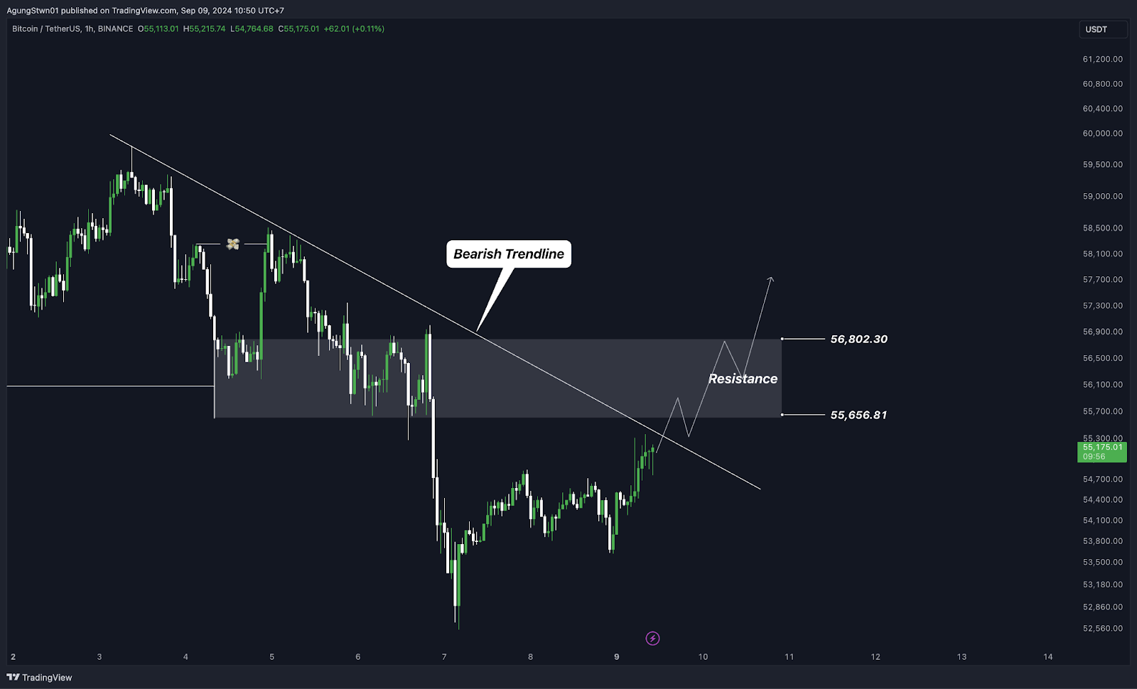 Weekly Crypto Market Outlook (9 September 2024) Shiba Inu Akan Kembali Pump!