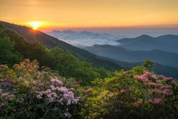 12 Rolling Hills That Soothe the Eyes, rolling hills, gentle land, nature, landscape, scenic comfort, visual peace