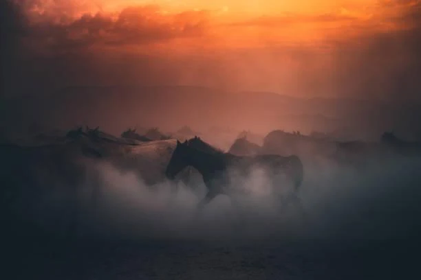 15 Timeless Photos of the Natural World, timeless nature, forever beauty, nature, landscape, classic landscapes, eternal scenes