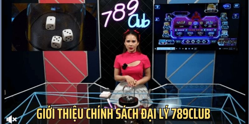 Giới thiệu về chính sách đại lý của nhà cái 789club