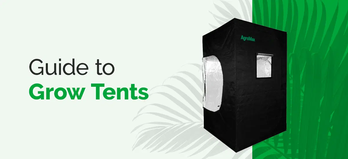 Tips to Maximize the Efficiency of Grow Tents