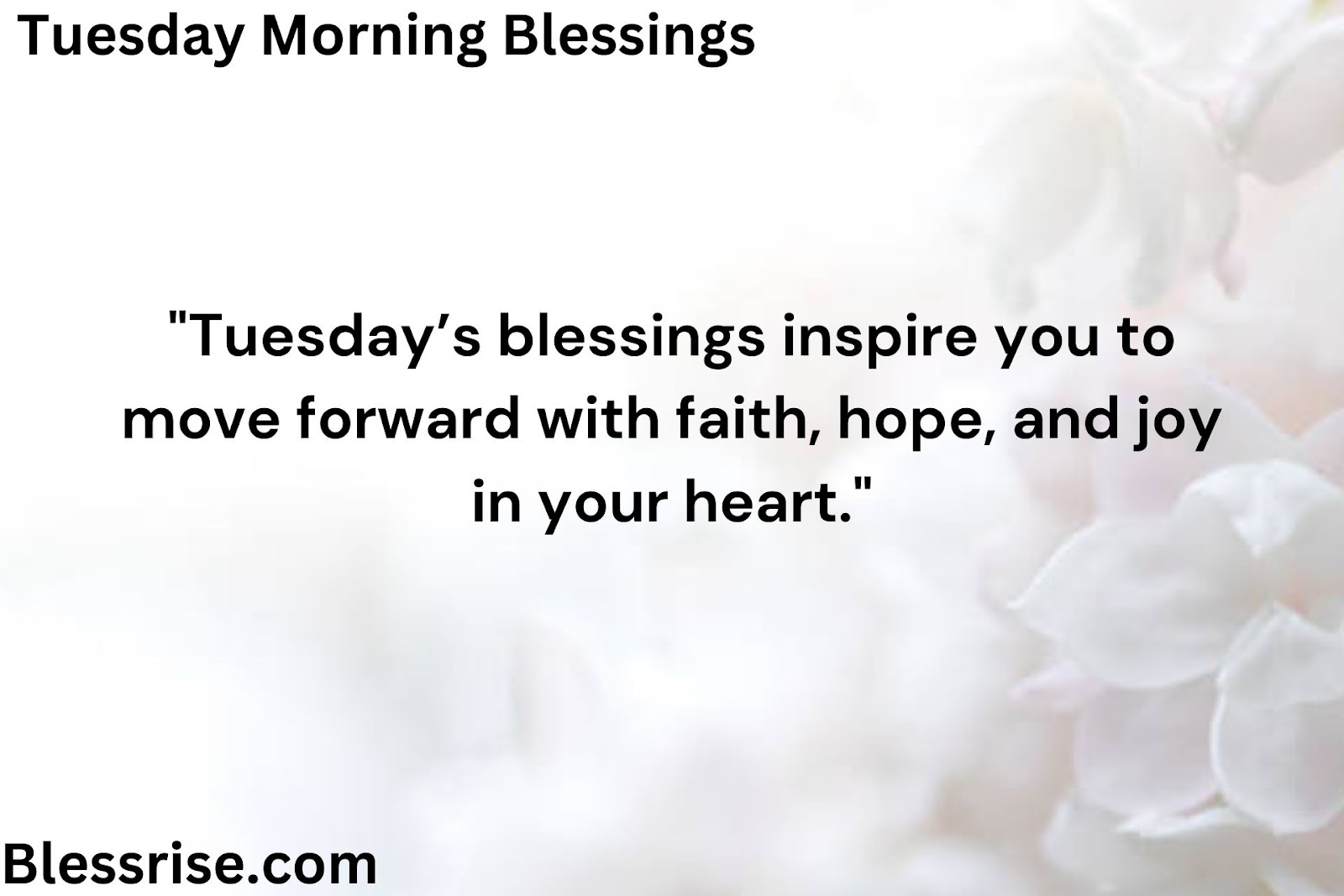 Bountiful Tuesday Blessings