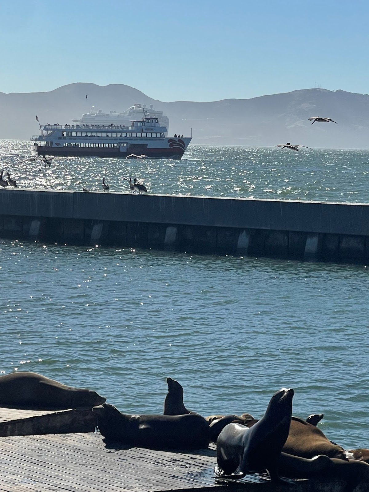 Alcatraz and the Bay Bridge