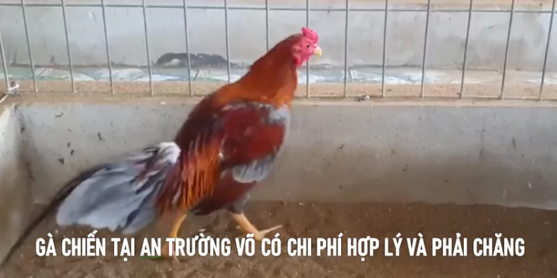 Chi phí hợp lý và phải chăng