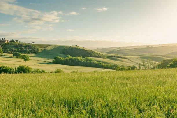 18 Prairie Lands with Wild Grass Waves, prairie photo, grassy waves, nature, landscape, wind grass, open land
