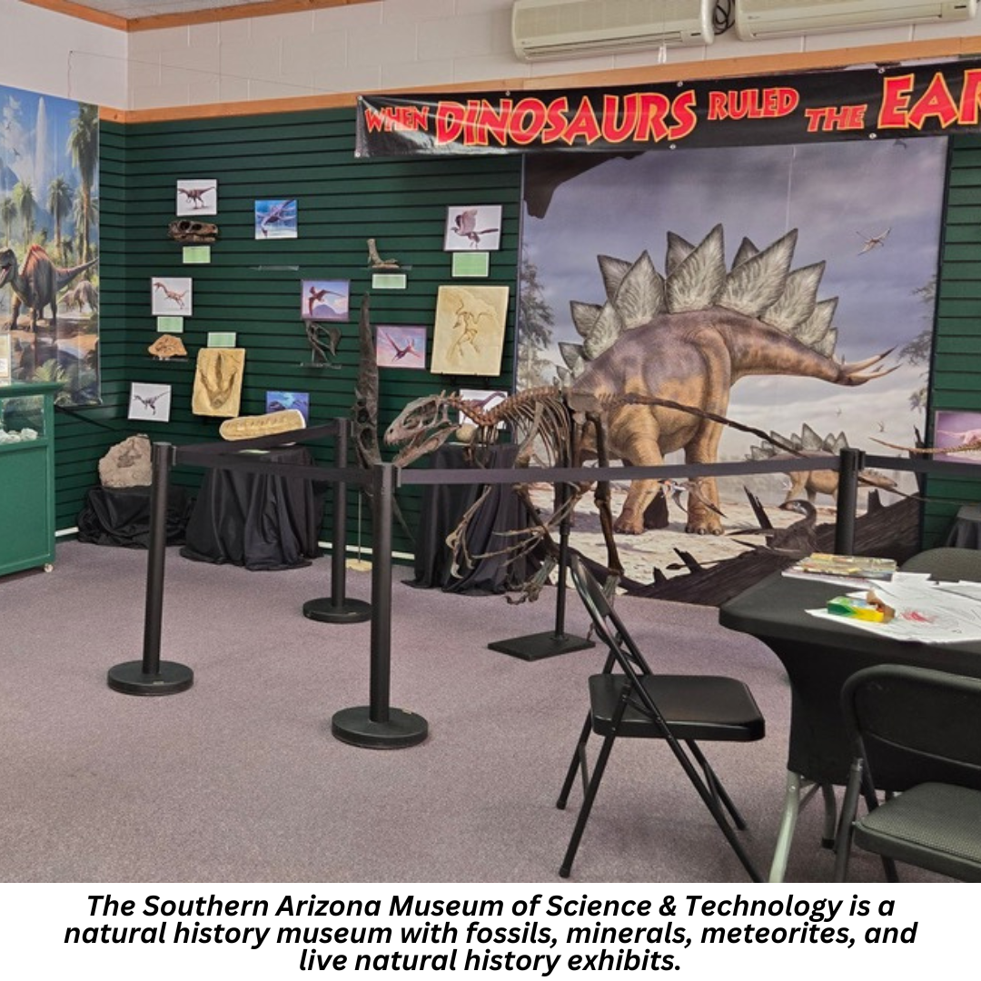 The Southern Arizona Museum of Science & Technology is a natural history museum with fossils, minerals, meteorites, and live natural history exhibits.