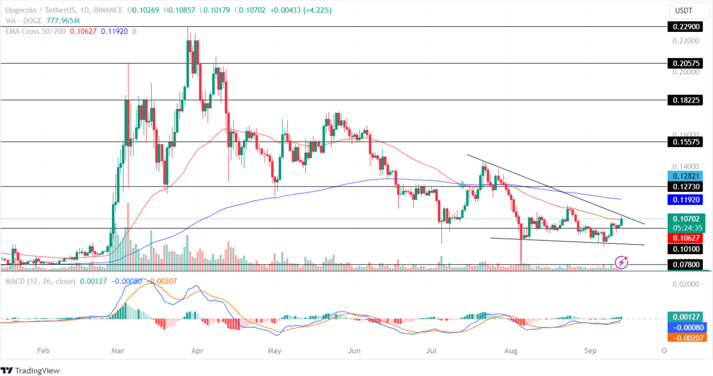 Dogecoin Price Analysis September 2024