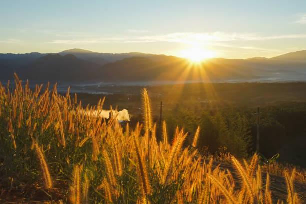 Sunrise at Yun Lai Viewpoint. stock photo