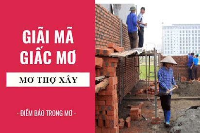 Mơ Thấy Gạch Xây Nhà: Giải Mã Ý Nghĩa và Những Tình Huống Thú Vị
