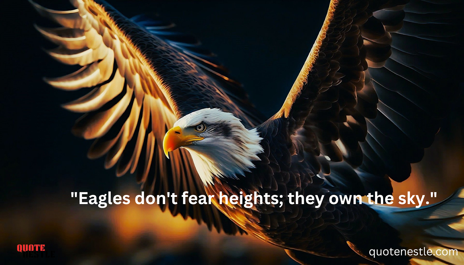 Eagle fear