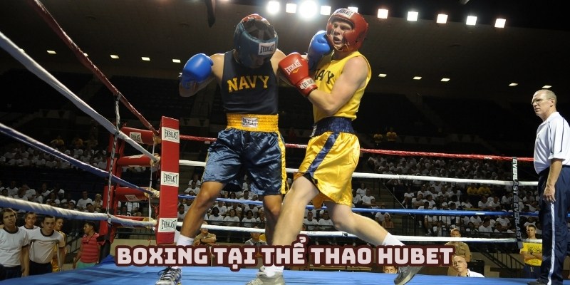 Boxing đầy kịch tính với các kèo cược mới lạ