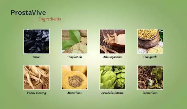 ProstaVive Ingredients  2024