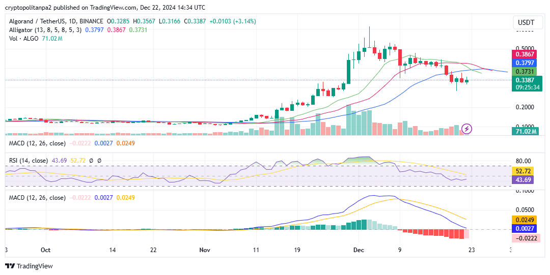 ALGO/USD 1-day chart. Image source: TradingView