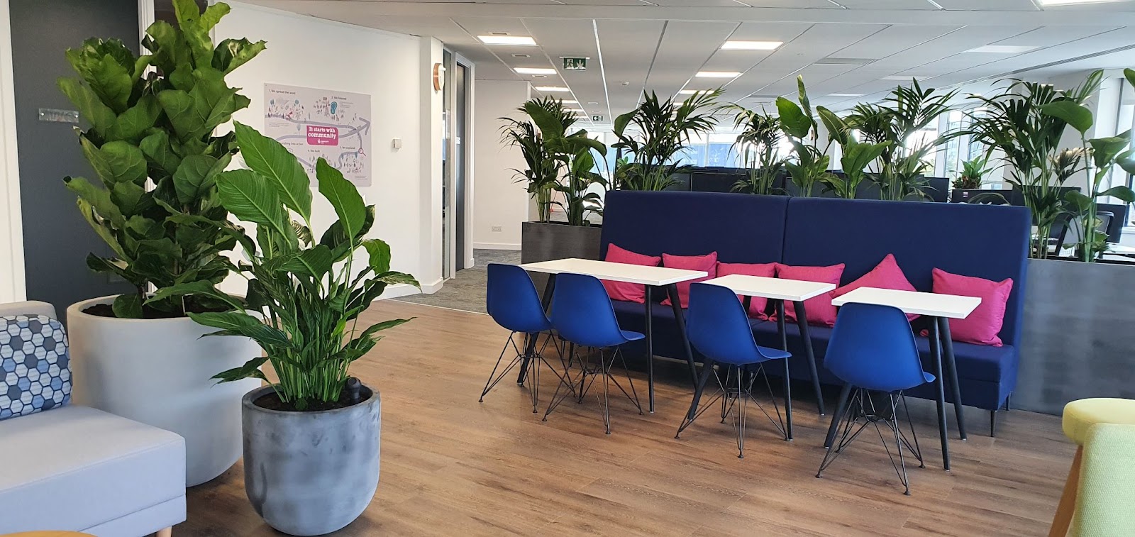 Interior Plants