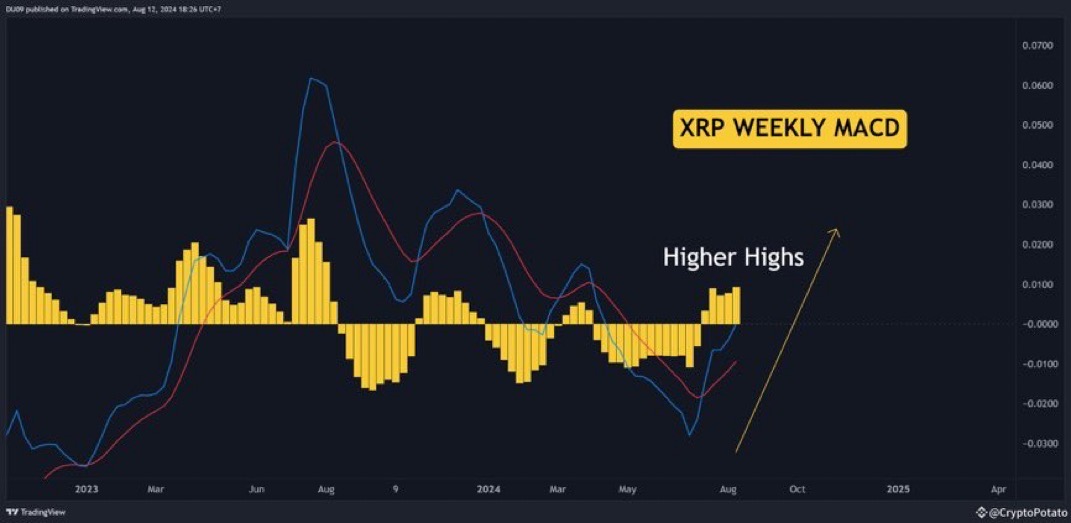 Bitcoin, Ethereum, Dogecoin Stall: Analyst Predicts XRP Price Will Cross $60 