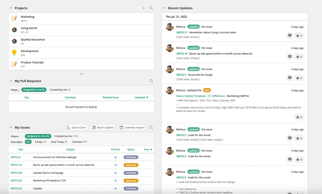 An example of a project management dashboard organization. 