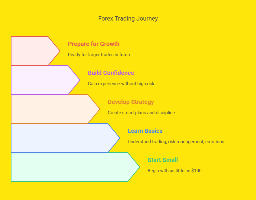 How to Trade Forex with $100