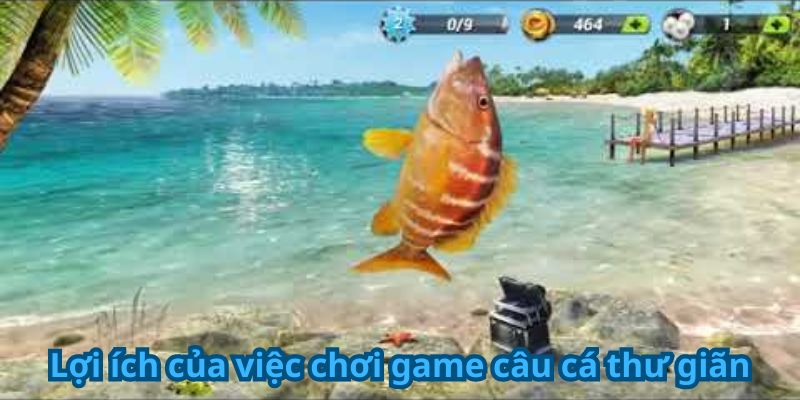 Lợi ích của việc chơi game câu cá thư giãn