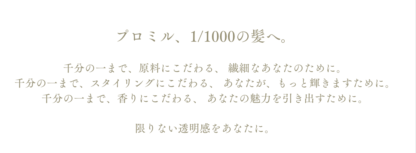 プロミルLPのドイツ語の説明画像