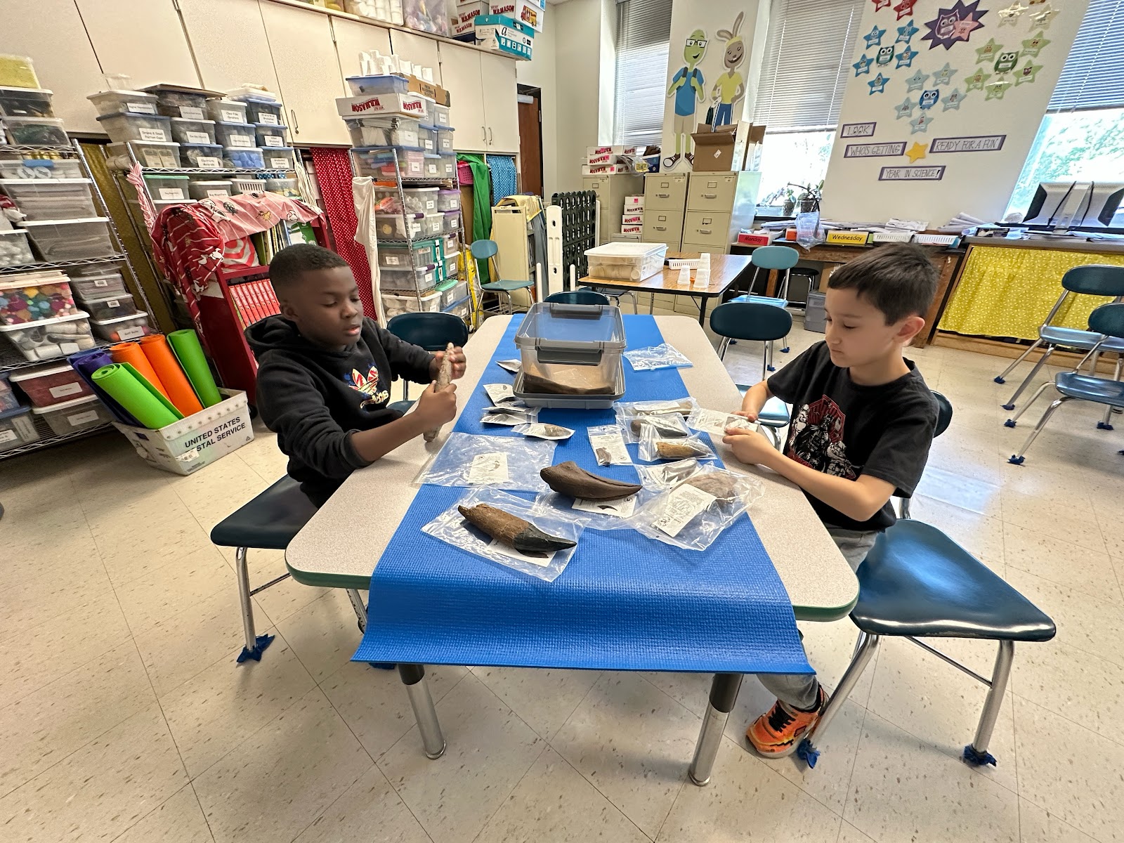 Hart students exploring various fossils