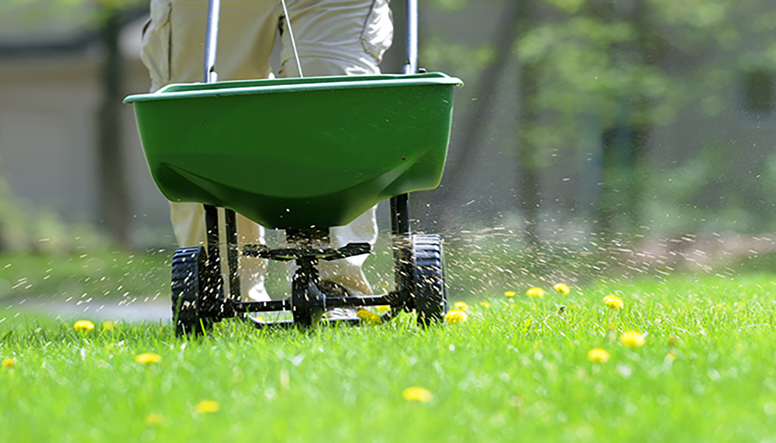 Grass Fertilization