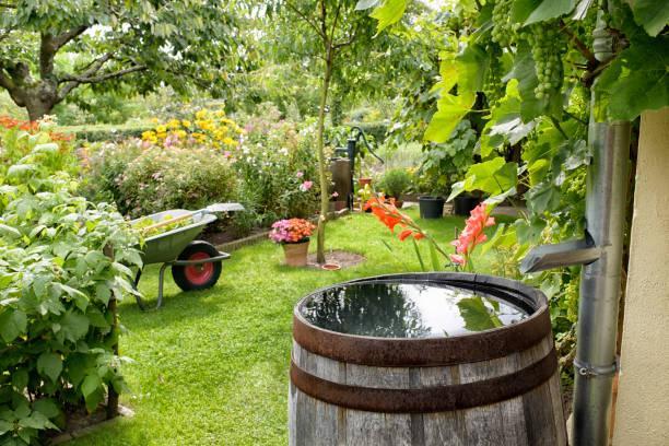 Water Collection in Barrel