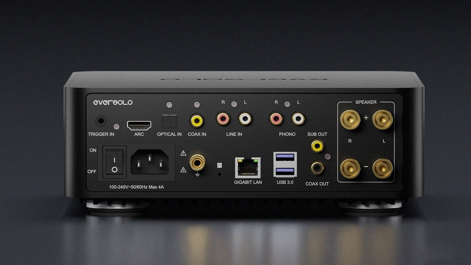 Eversolo Play rear view showing connectivity options.