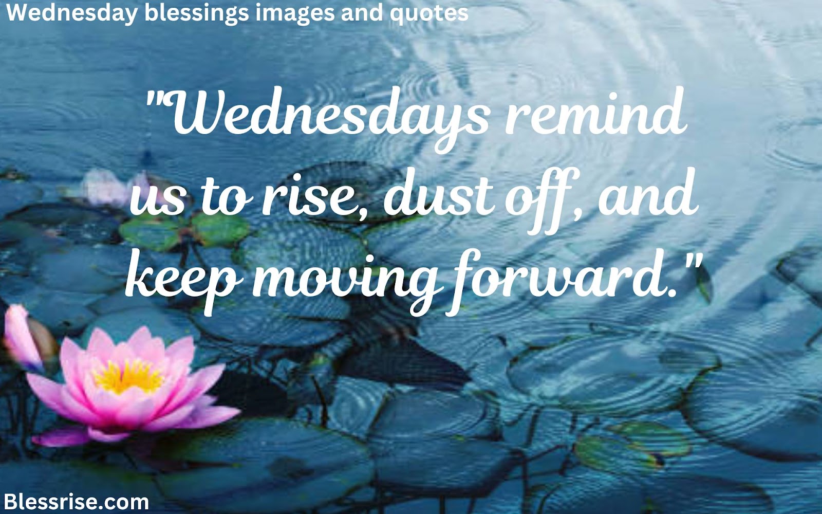 Happy Wednesday blessings