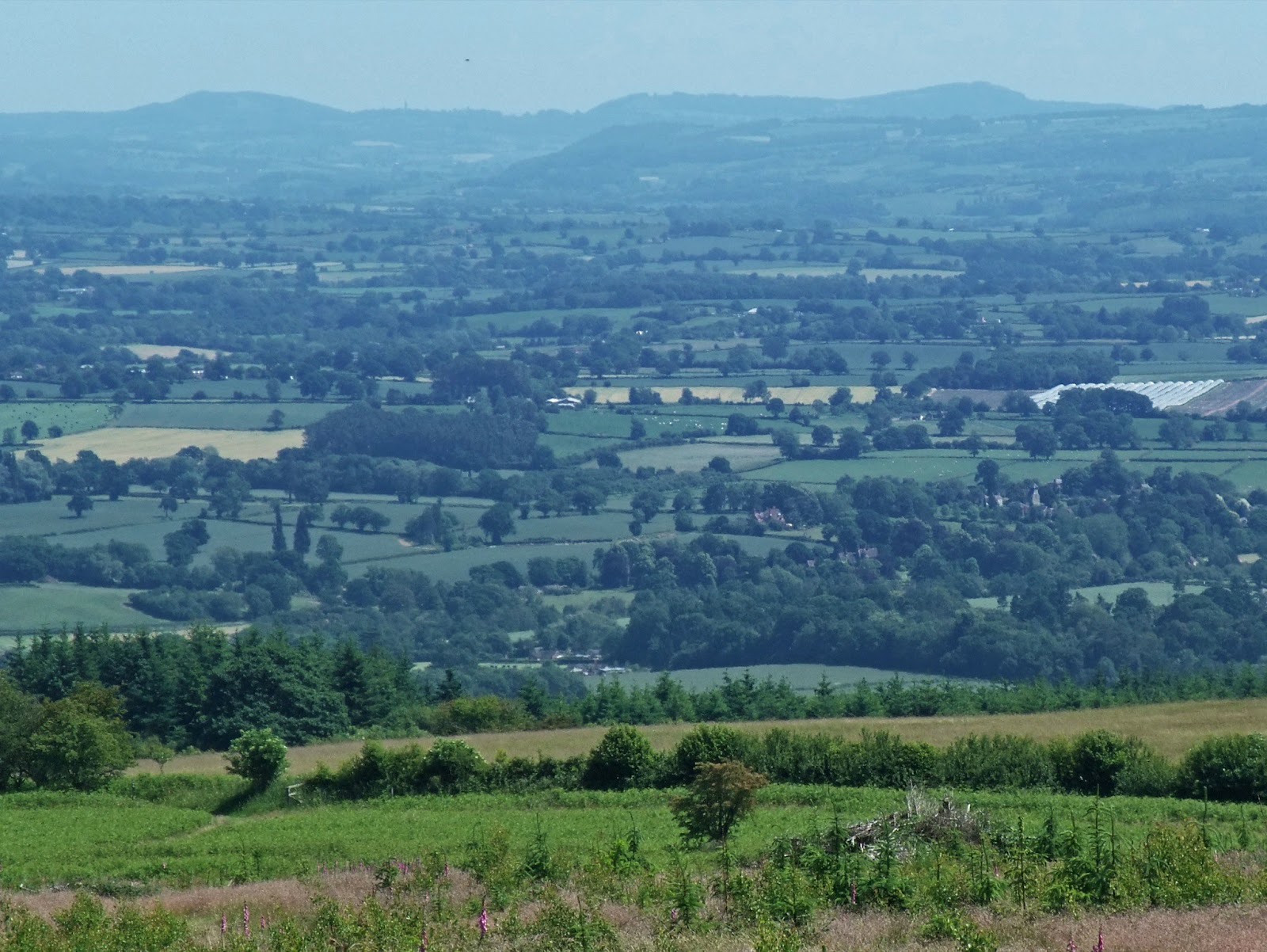 Vinnalls Loop Walk