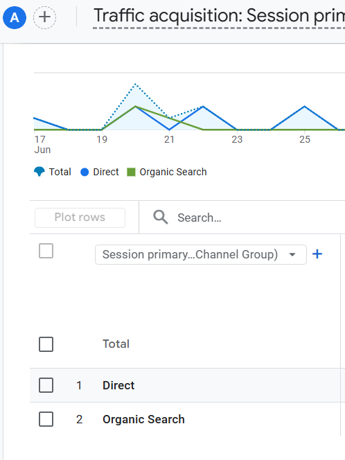 Organic Traffic in Google Analytics.