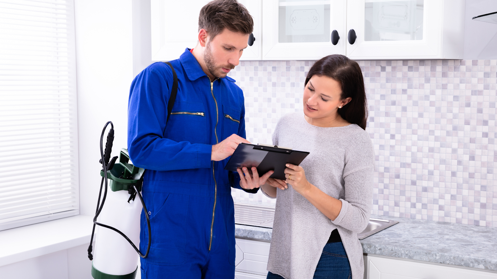 Free Termite Inspections