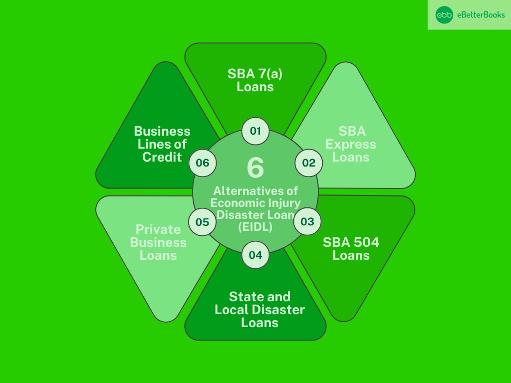 Alternatives of Economic Injury Disaster Loan