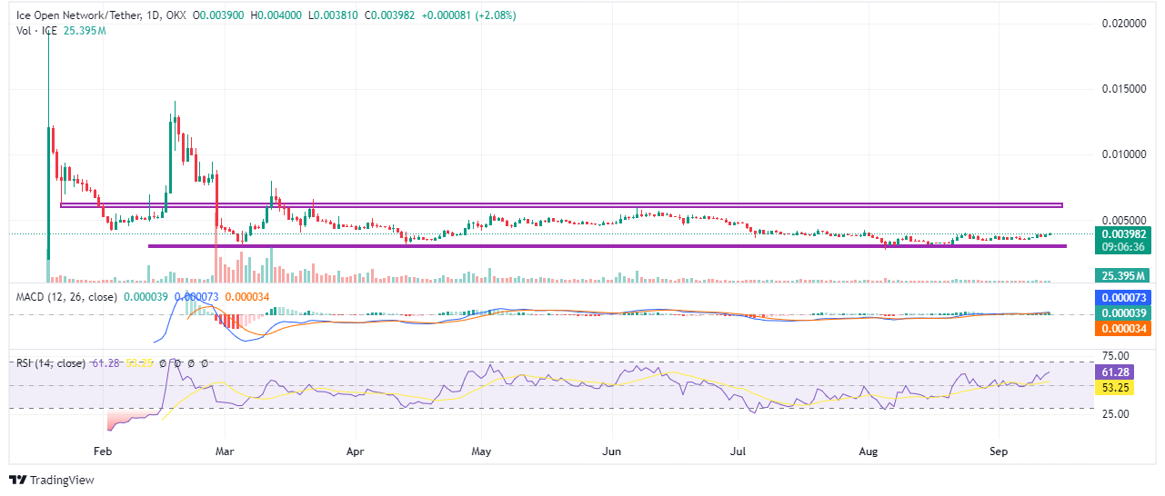 ICE Price Prediction: 2024, 2025, 2030, and Beyond