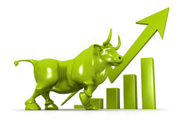 Understanding Bull Market 