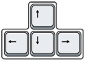 The arrow keys