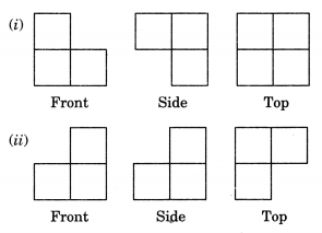 Visualising Solid Shapes Class 7 Extra Questions Maths Chapter 15 Q10.1