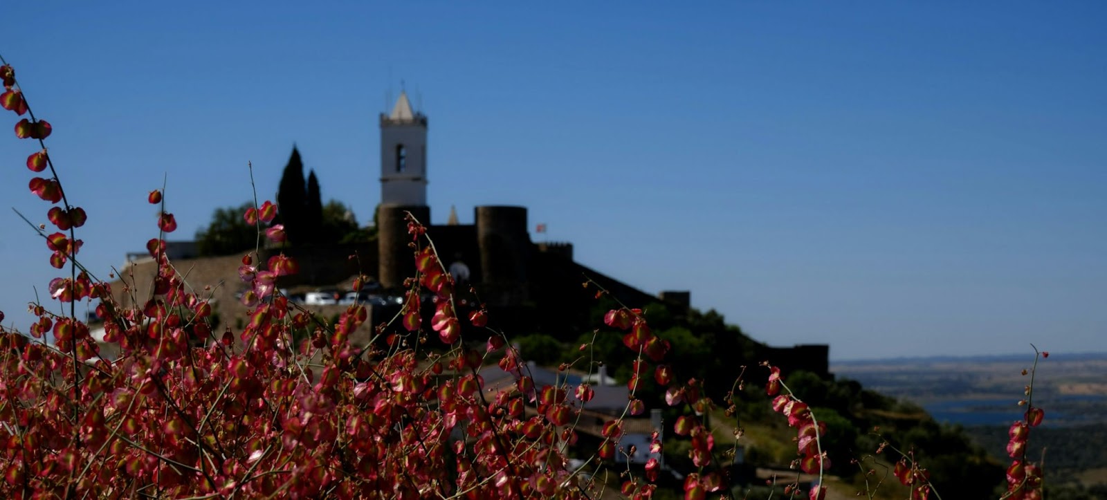 Flores do campo em primeiro plano com vista para o castelo medieval de Monsaraz ao fundo, ilustrando o charme histórico da vila; ideal para quem busca saber onde fica Monsaraz.