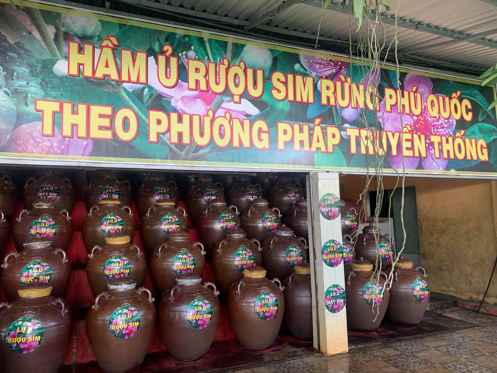 ruou-sim-phu-quoc