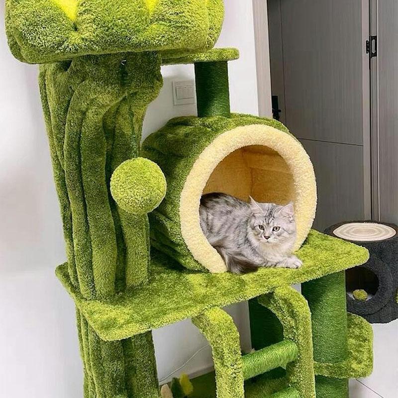 Combat-Cat-Obesity-with-Cat-Trees-Promote-Exercise-and-Health