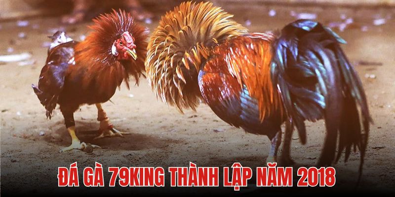 Đá gà 79king thành lập năm 2018 tại Campuchia