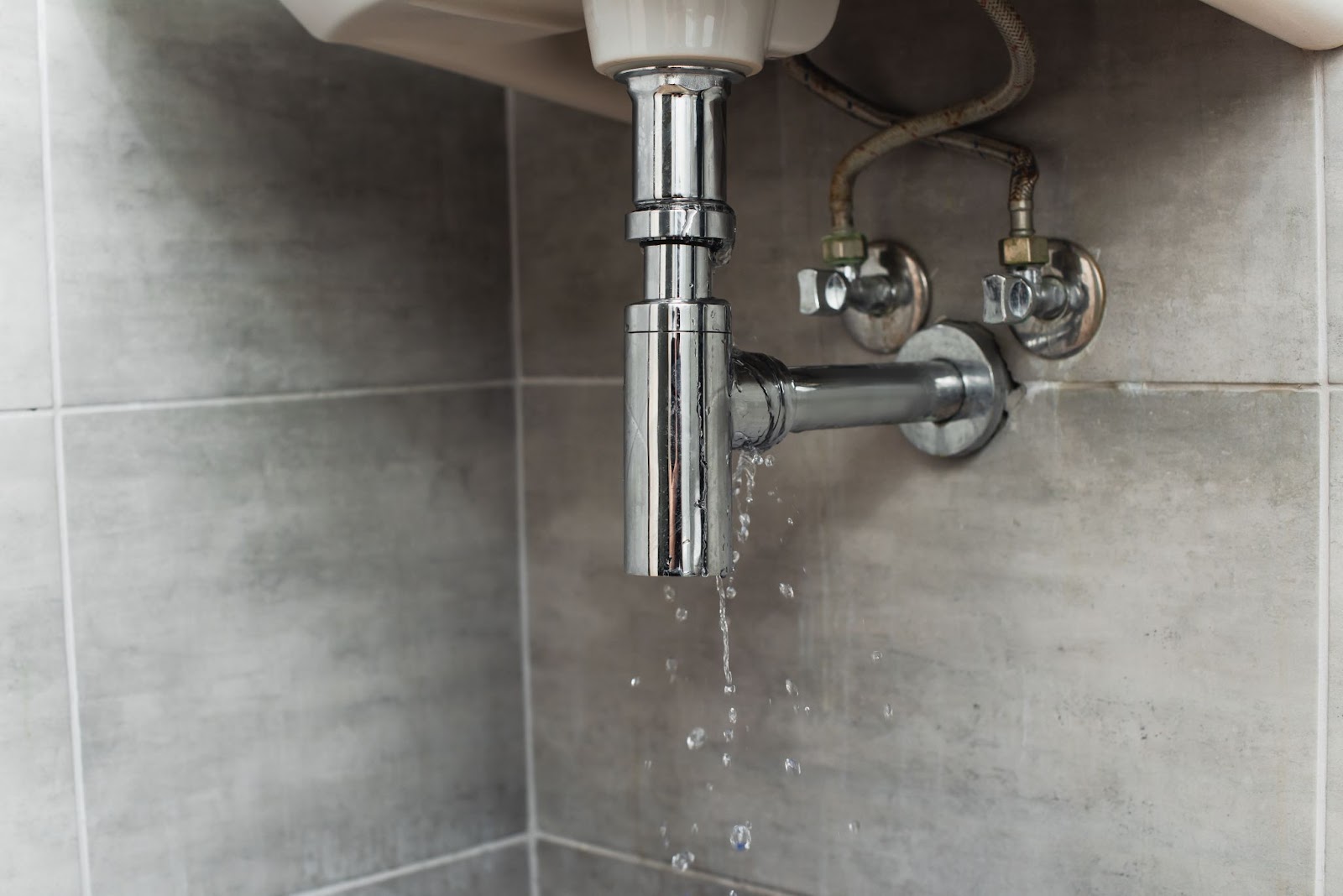 Dripping pipes under a sink, showing potential signs of a plumbing emergency.