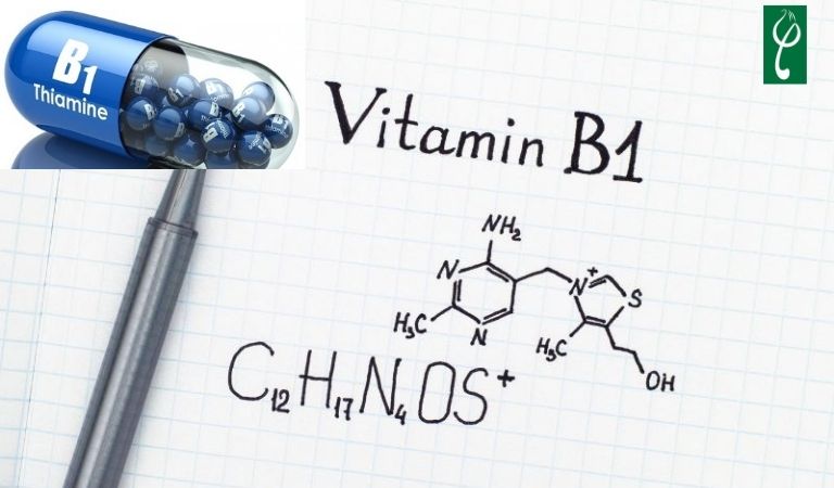 Vitamin B1 hỗ trợ kích thích mọc tóc và ngăn ngừa gãy rụng