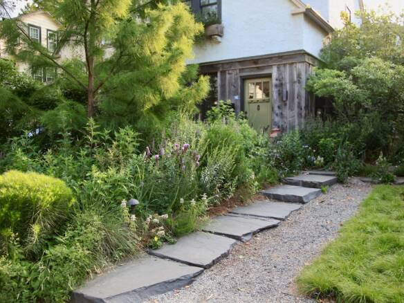 Incorporating Switchgrass into Sunny Garden Designs