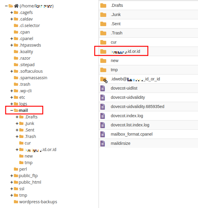 Cara Cepat Hapus Email Trash, Sent, dan Inbox di cPanel!