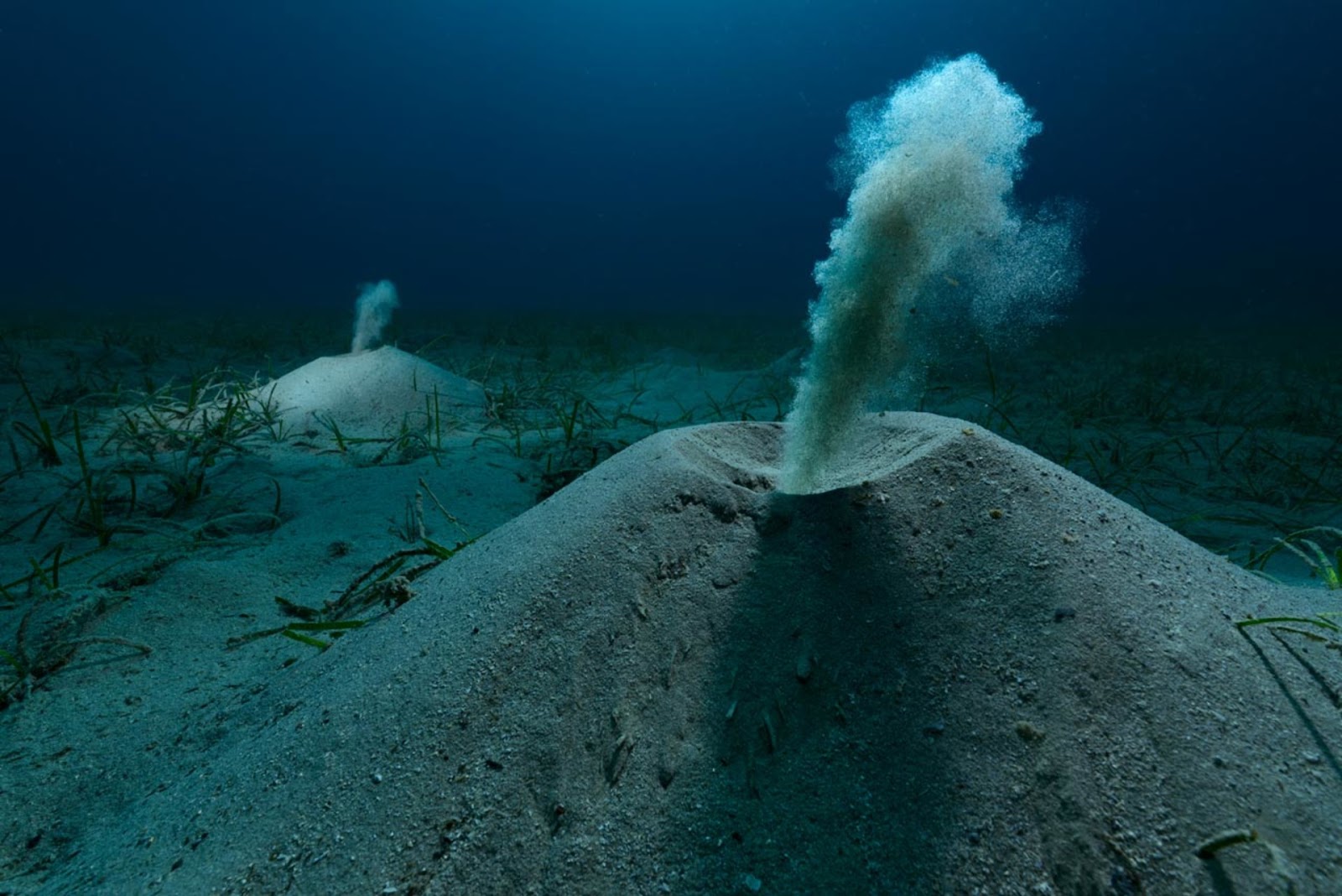 https://www.fpa2photoaward.org/thmb/1920/medias_upload/moxie/editions/2025/OCEAN_1WINNER-and-overallwinner_1_OCEAN_694.jpg