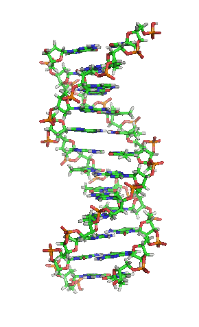 TEMA 4. GENES Y MANIPULACIÓN GENÉTICA | EL BLOG DE INMA LÓPEZ PORCEL