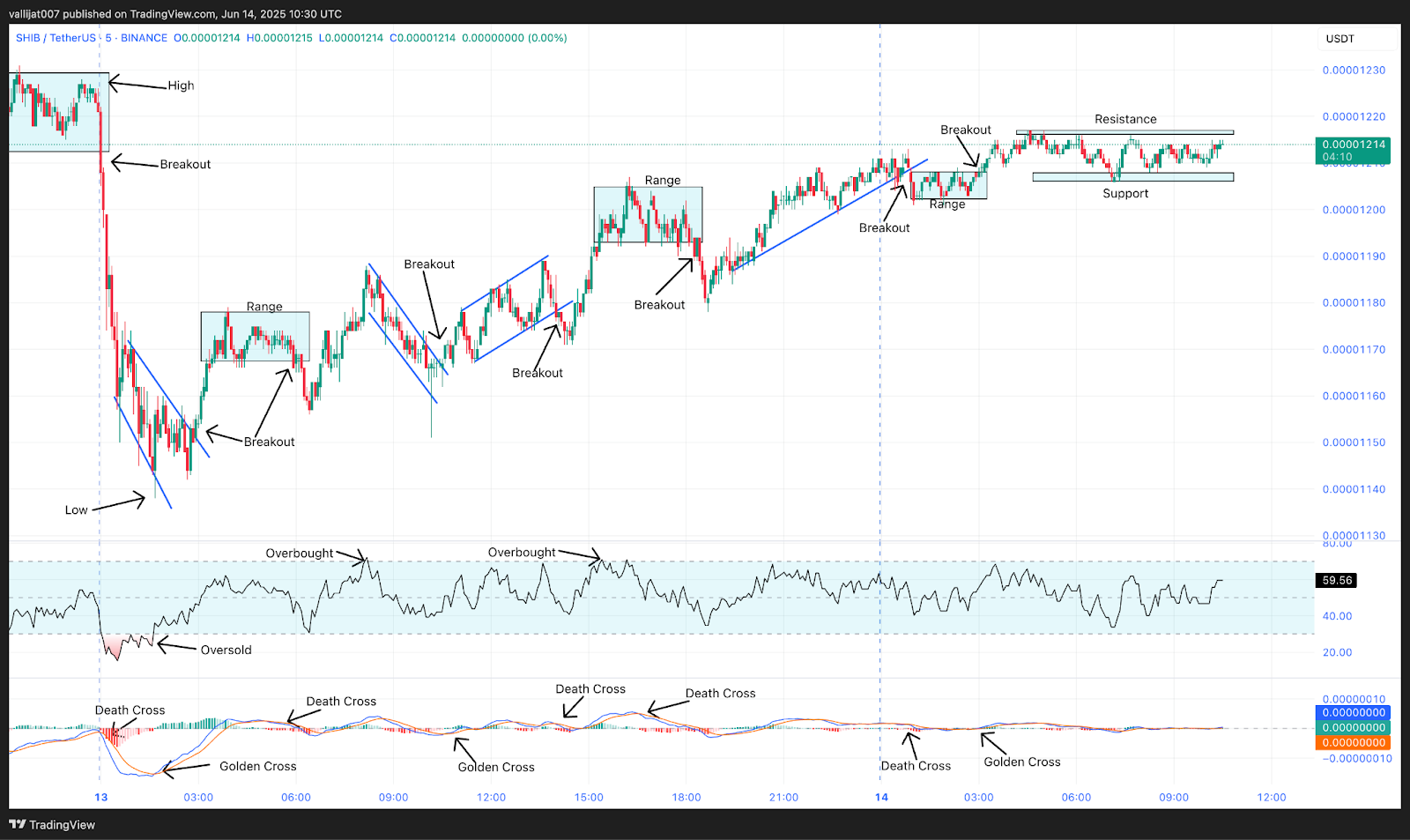 Chart 7: SHIB/USDT M5 Chart, Analysed by vallijat007, published on TradingView, June 14, 2025
Shiba Inu
